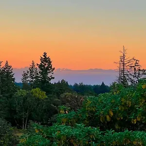 Olympic Views - Cozy Modern 2br Victoria